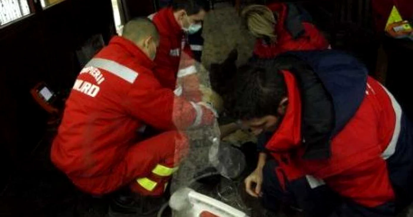 Medicii l-au resuscitat în zadar pe bărbat
