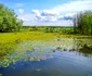 Dobrogea cea frumoasă - Somova din judeţul Tulcea Sursa comunasomova.ro