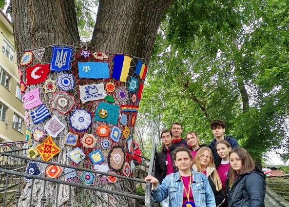 Copacul a fost „îmbrăcat” în mileuri. FOTO Primăria Tulcea