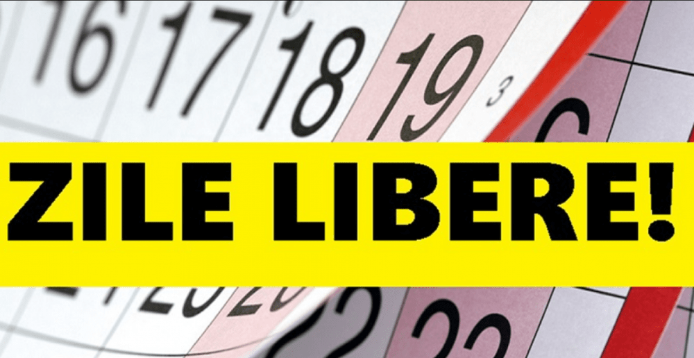 „Prea multe zile libere în mediul privat”. Ce propun 56 de parlamentari DOCUMENT