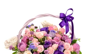 cos flori lila mov floraria online amazon jpeg