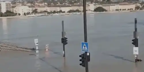 budapesta gif