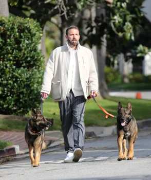 Ben Affleck și a luat al doilea câine de pază, Foto Profimedia