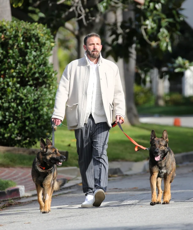 Ben Affleck și a luat al doilea câine de pază, Foto Profimedia (4) jpg
