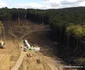 Autostrada Lugoj Deva, zona Holdea Margina Foto Daniel Guță ADEVĂRUL (22) JPG