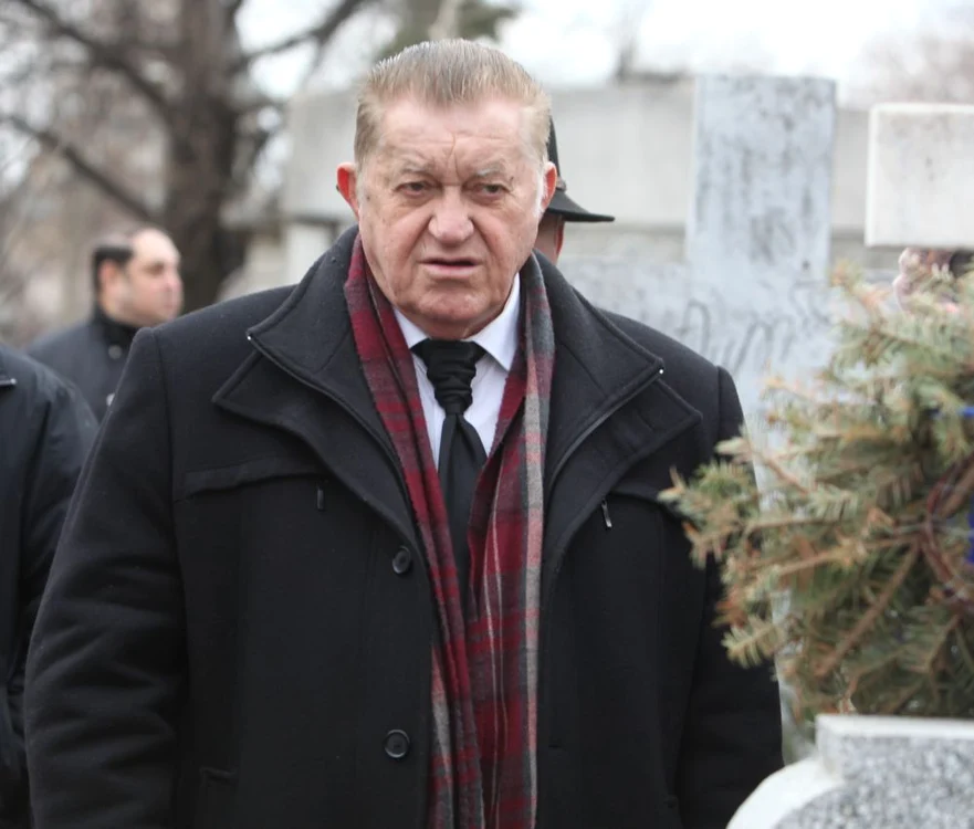 Dorel Vişan (82 de ani)