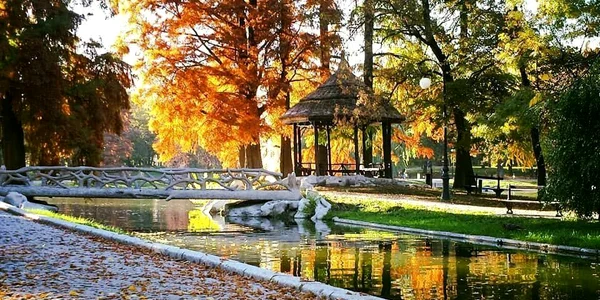 parc jpeg