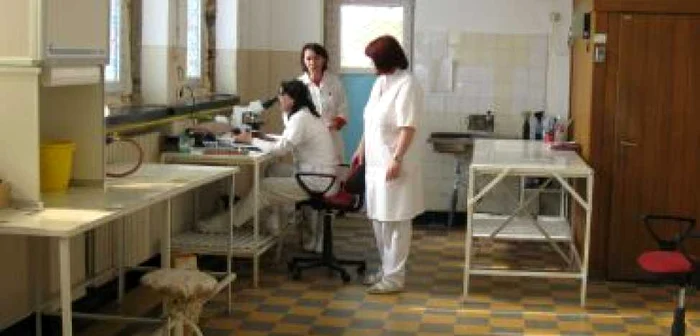 Târgu-Jiu: Întâlnire cu şeful CNAS