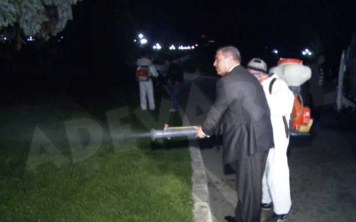 În Dâmboviţa, în ultimele zile calde de primăvară, au ajuns la UPU 15 persoane muşcate de căpuşe