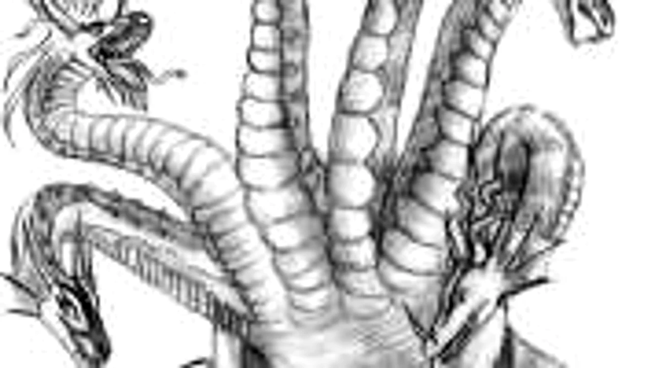 hydra 