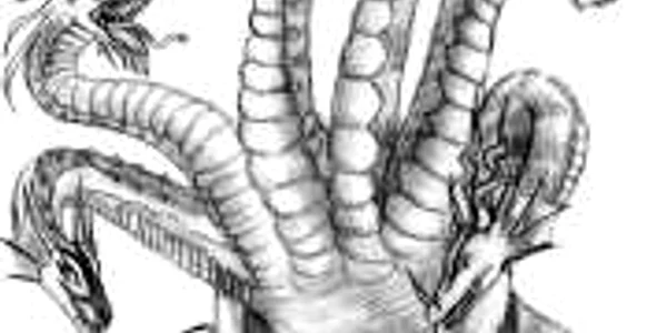 hydra