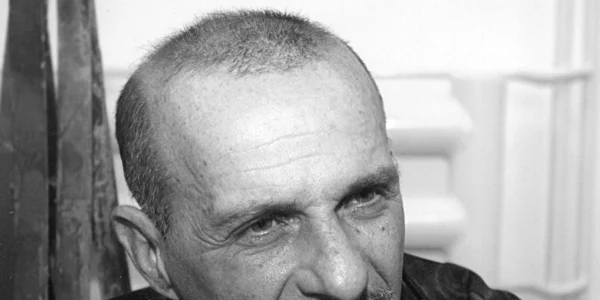 Radu Aldulescu