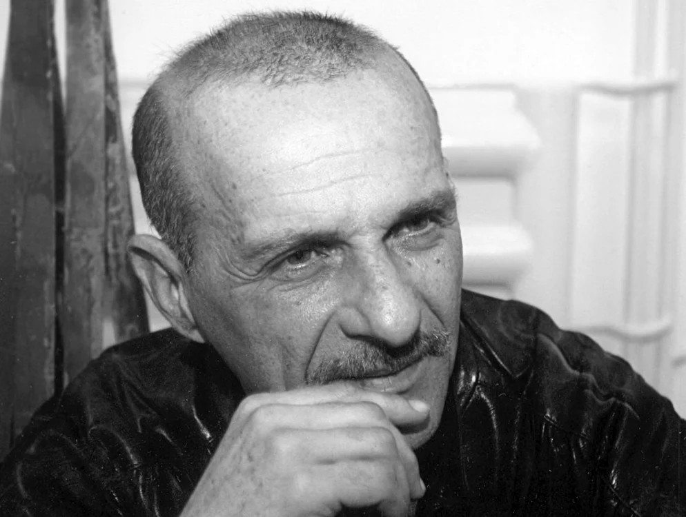 Scriitorul Radu Aldulescu