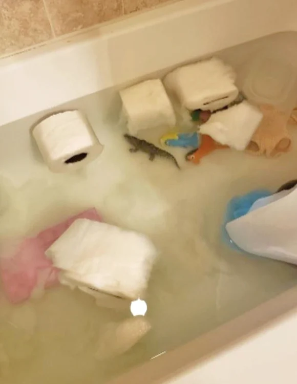 Mami, uite, am învățat hârtia igienică să înoate în cadă!