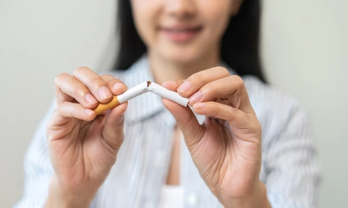 shutterstock 2422143591 jpg