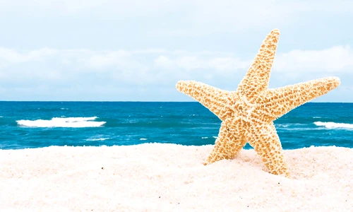 1 61815 original jpg jpeg