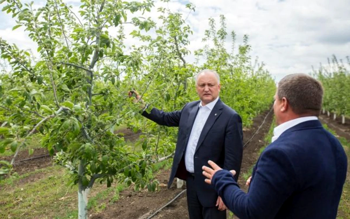Igor Dodon