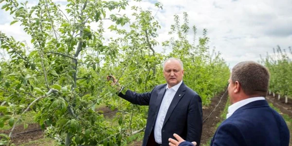 Igor Dodon