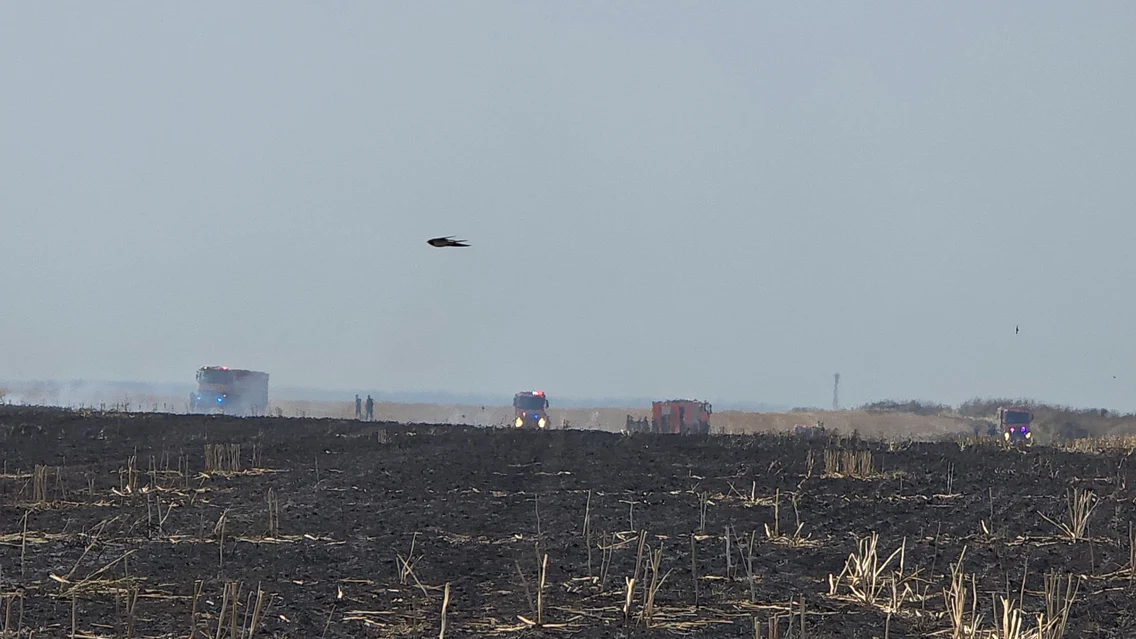 Incendiu de vegetație în apropierea localității Berceni /FOTO: ISU București-Ilfov