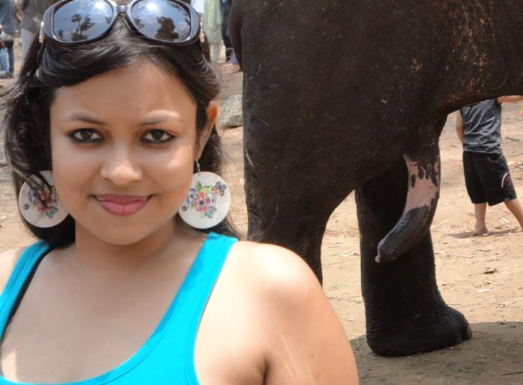 Elefant