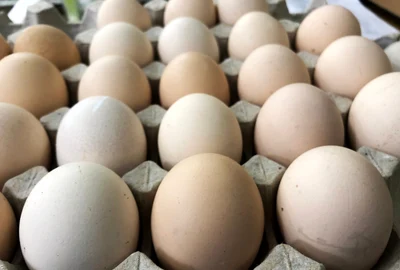 oua carton cofrag foto shutterstock