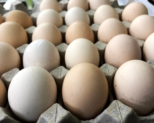 oua carton cofrag foto shutterstock