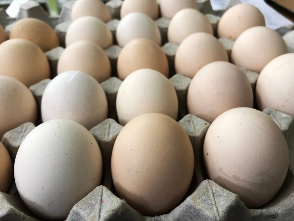 Loturi de ouă vândute în două supermarketuri, retrase de la vânzare din cauza riscului de Salmonella Typhimurium