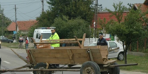 Tot mai multe carute sunt implicate in accidente rutiere