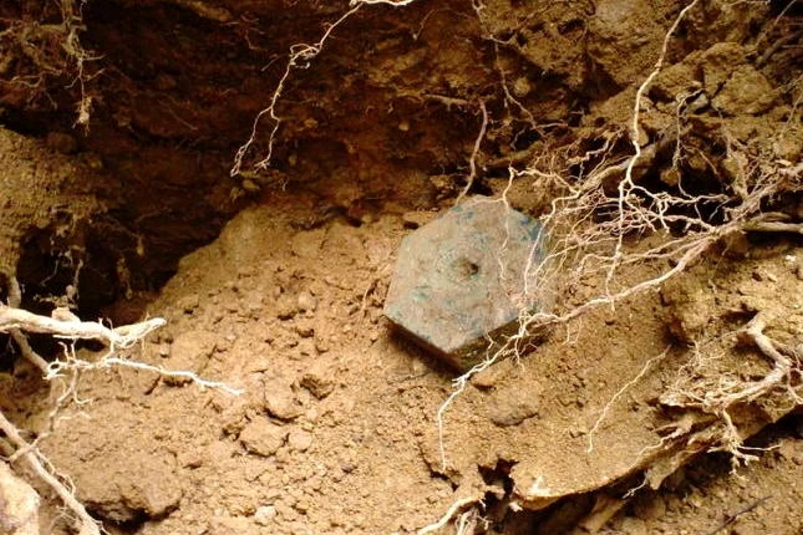 Matriţa descoperită în Sarmizegetusa Regia. FOTO: Vladimir Brilinsky.