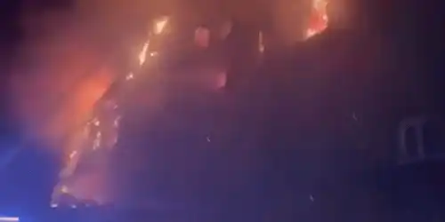 foc gif