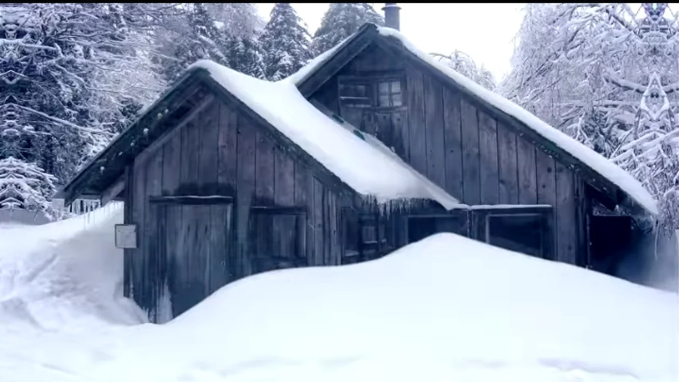 Așa arată casa în care vor locui concurenții