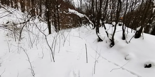 portile de fier ale transilvaniei foto daniel guta adevarul