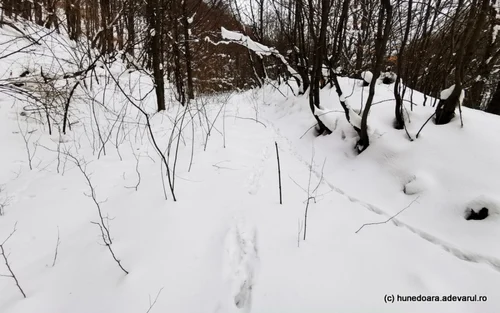 portile de fier ale transilvaniei foto daniel guta adevarul