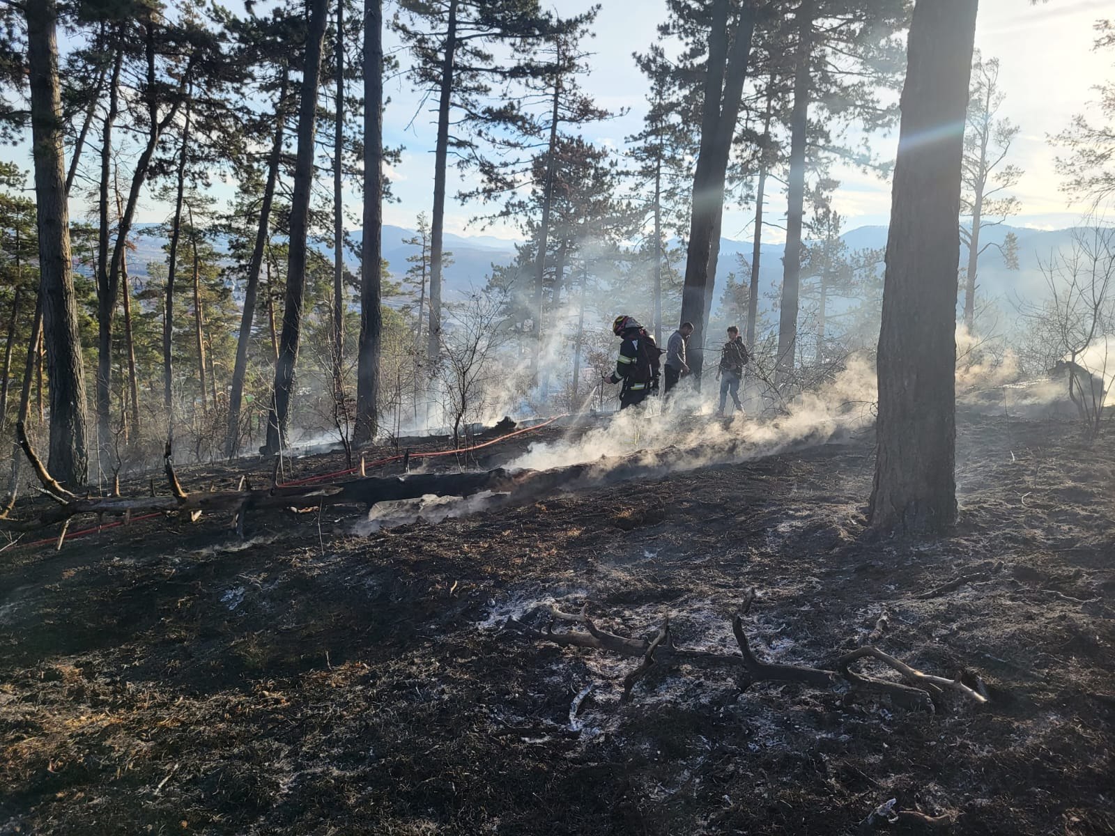 Incendiu devastator pe Pietricica, muntele deasupra Piatra Neamțului, din Moldova.