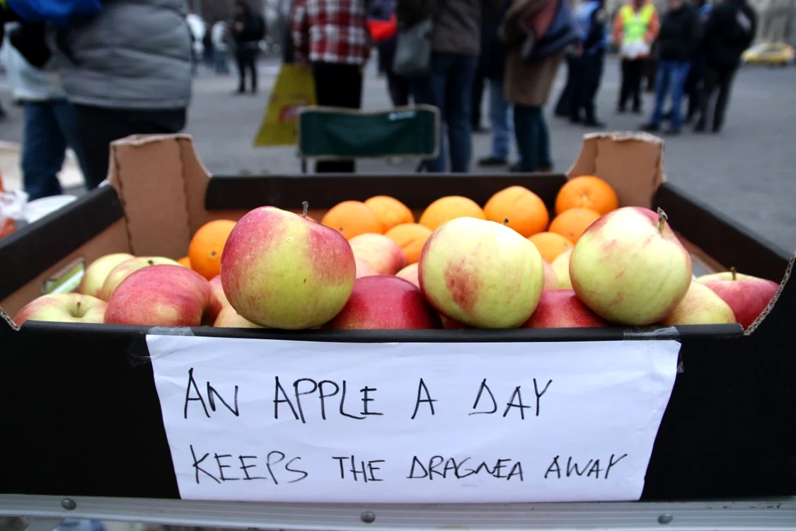 Proteste Piaţa Victoriei ziua 7 / FOTO Inquam Photos / Mircea Manole