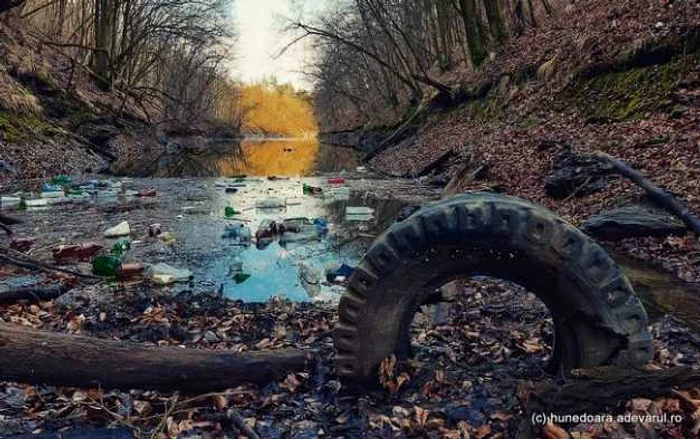 lacul cincis gunoaie foto daniel guta adevarul