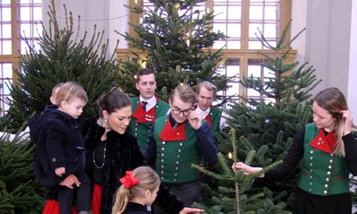 printii suediei jpeg