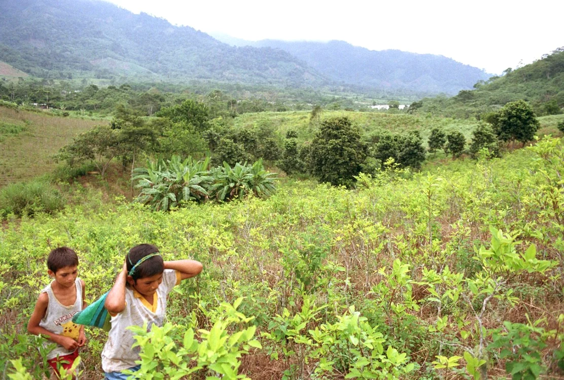 Copiii cultivatorilor de coca pe plantaţii în Monzon Valley din Peru FOTO EPA-EFE