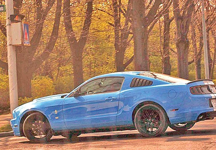Conduce un Mustang alb-albastru