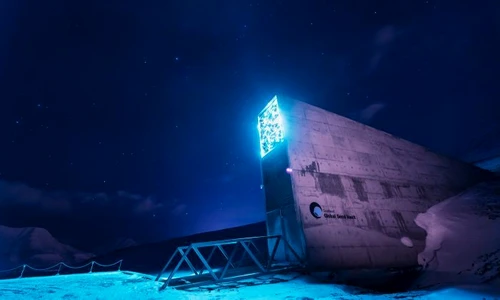 1 shutterstock 785382310 jpg jpeg