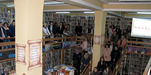 biblioteca zalau
