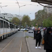 ID299533 INQUAM Photos George Calin jpg