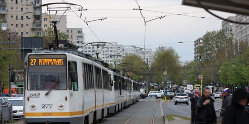 ID299533 INQUAM Photos George Calin jpg