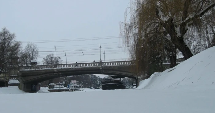 Canalul Bega a înghețat bocnă