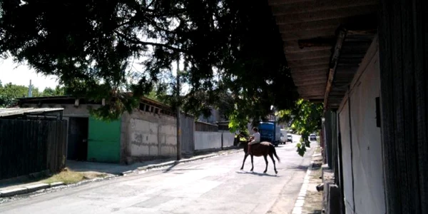 Strada Miron Costin
