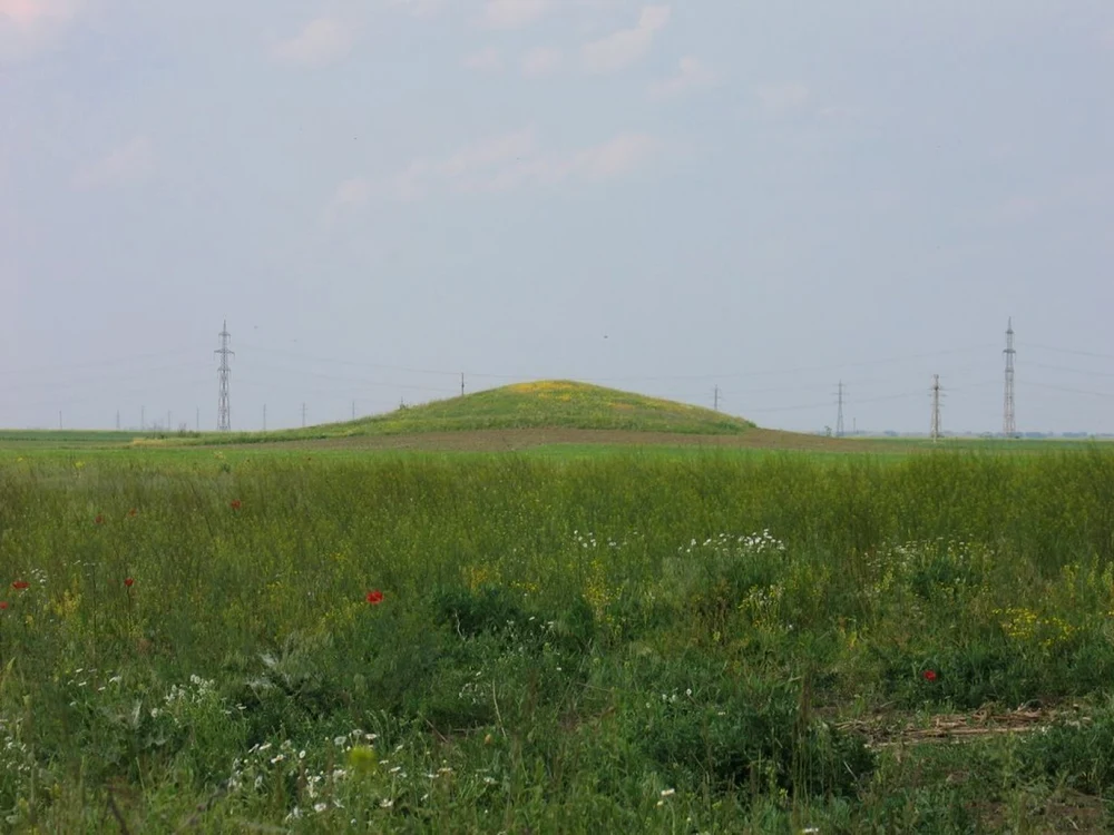 calarasi dor