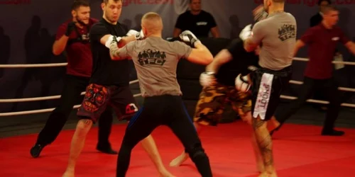sport violent odditycentral