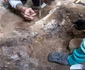 Două schelete ale unor ecvide, descoperite în brutăria complexului Casti Amanti (© Facebook / Pompeii - Parco Archeologico)
