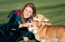 Sarah Ferguson cu cainii Reginei pagina personala jpg