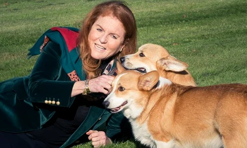 Sarah Ferguson cu cainii Reginei pagina personala jpg